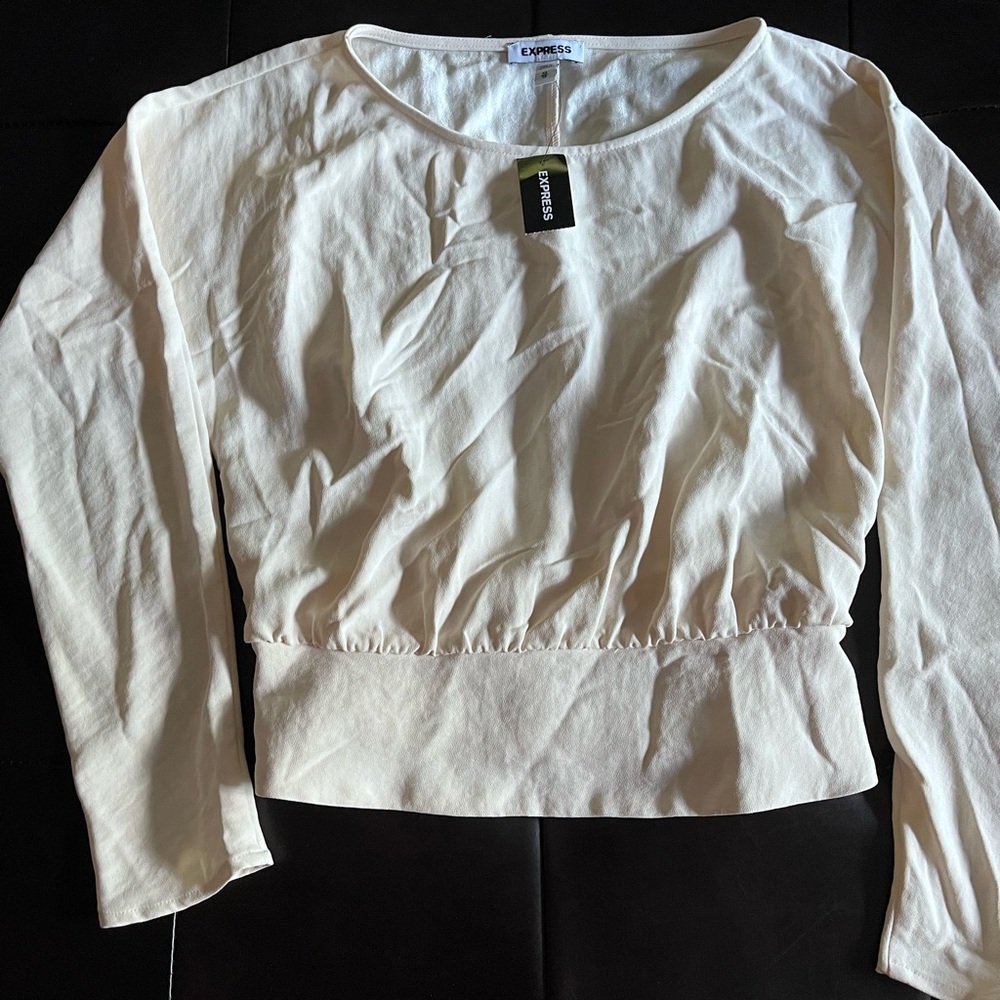 Express dressy top